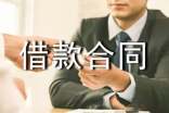 最新個人借款合同范本(合集15篇)