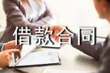 聯(lián)營(yíng)股本借款合同范文