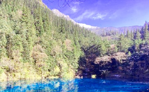 九寨溝導(dǎo)游詞(精華)