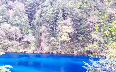 九寨溝導(dǎo)游詞400字