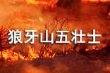 觀《狼牙山五壯士》有感 (12篇)