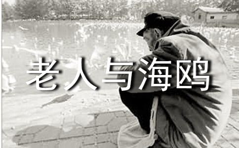 小學語文說課稿:老人與海鷗