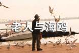 《老人與海鷗》的讀后感450字