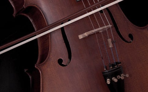 西方古典樂器有哪些