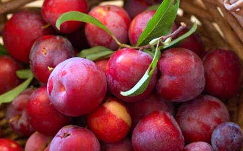 李子的營(yíng)養(yǎng)價(jià)值與食用功效