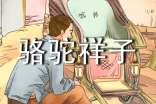 駱駝祥子讀書(shū)筆記(15篇)