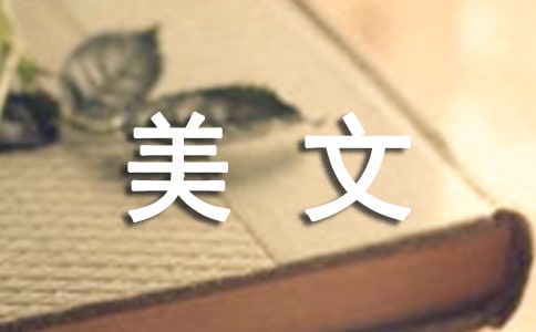 論審美文化中的當(dāng)代情結(jié)