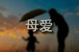 精選母愛的作文合集9篇