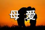 【實用】讀懂母愛作文五篇