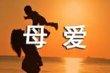 形容一個母愛的四字成語