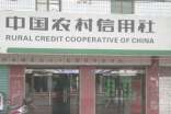 農(nóng)村信用社貸款申請書