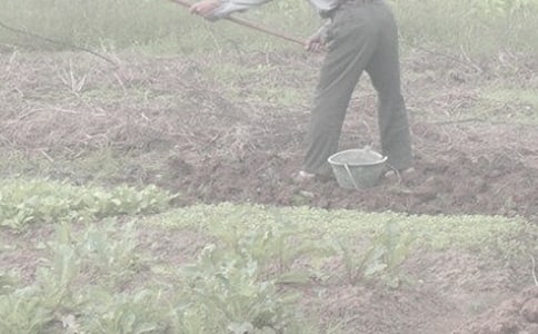 爸爸干農(nóng)活的作文通用