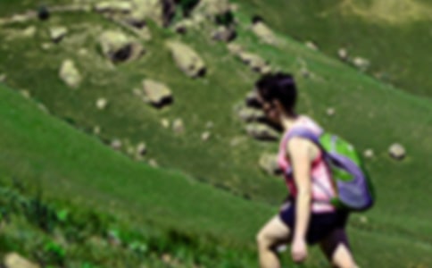 有關(guān)爬山日記集合10篇