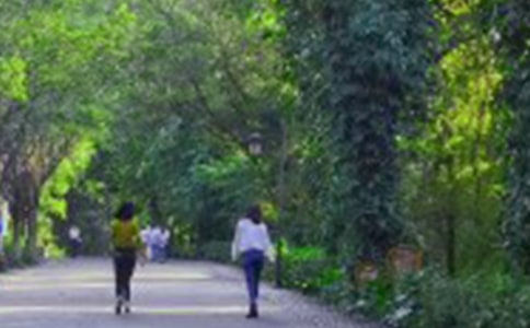 小學(xué)生爬山周記大全