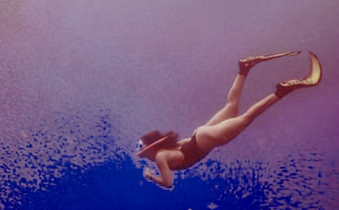 潛水的技術(shù)要領(lǐng)