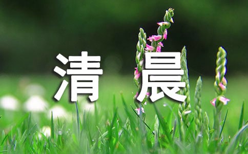 關(guān)于春雨的觀察日記:春雨清晨