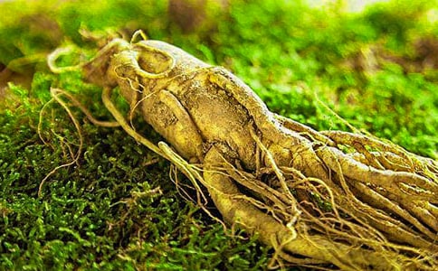 十萬(wàn)人參與創(chuàng)業(yè)服務(wù)周