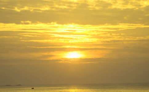 看日出日記范文(通用26篇)