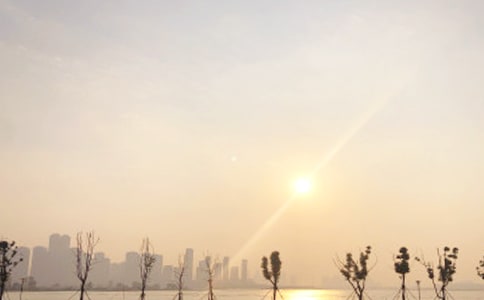 小學(xué)生觀察日記:“看日出”