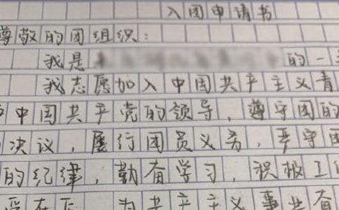 學(xué)生入團(tuán)申請(qǐng)書600字左右