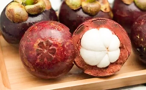 江蘇南山竹海的導游詞6篇