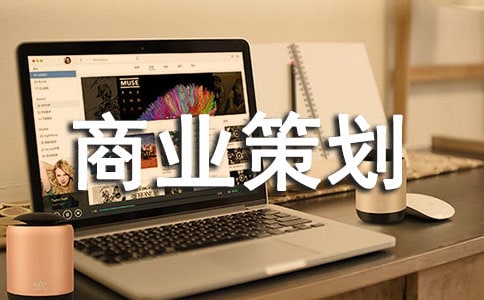 網(wǎng)站商業(yè)策劃書