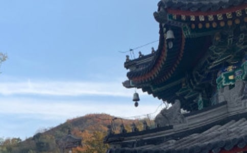 上下五千年讀書(shū)心得范文