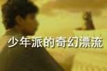 觀《少年派的奇幻漂流》有感 20篇