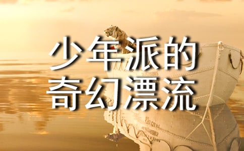 《少年派的奇幻漂流》的觀后感