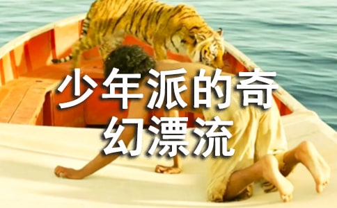 觀《少年派的奇幻漂流》有感(8篇)