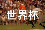 世界杯足球征文(通用20篇)
