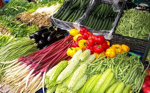 脫水蔬菜創(chuàng)業(yè)項目計劃書