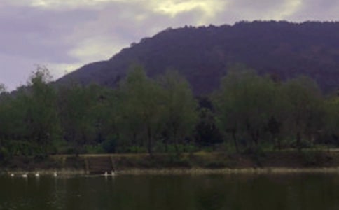 水庫防汛工作總結(jié)(通用6篇)