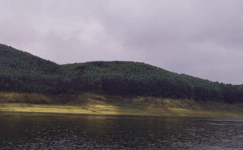 水庫防汛工作總結【經(jīng)典】