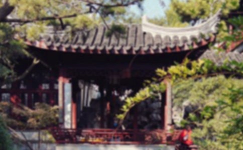 蘇州園林觀后感