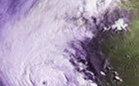 防臺(tái)風(fēng)安全的應(yīng)急預(yù)案(通用6篇)