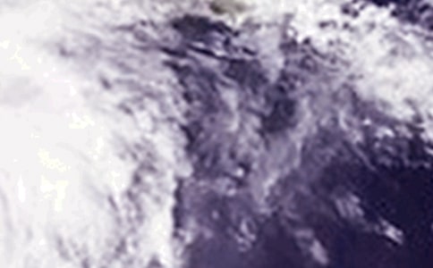 小學(xué)防臺風(fēng)應(yīng)急預(yù)案(合集6篇)