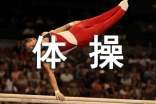 體操比賽觀后感