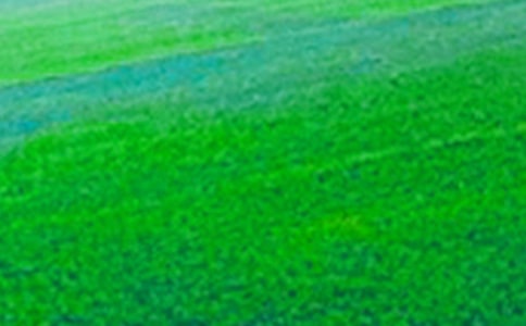 描寫唯美田野的優(yōu)美句子