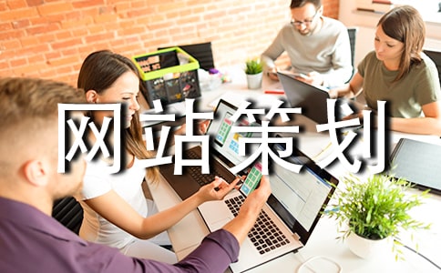 網(wǎng)站策劃員轉(zhuǎn)正申請書