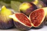 無花果的藥用價值