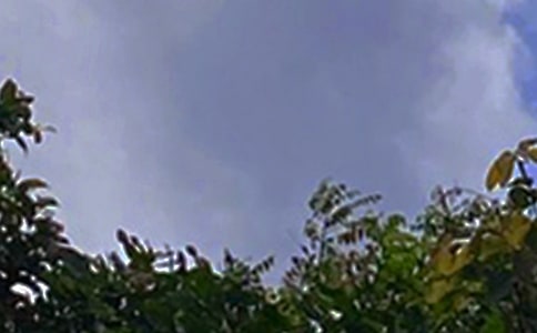 關(guān)于勵志午安語句大全90句