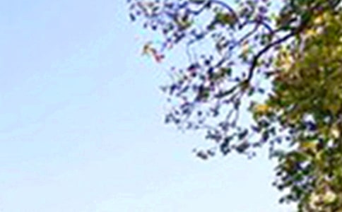 2024年治愈系午安微信問候語匯總66條