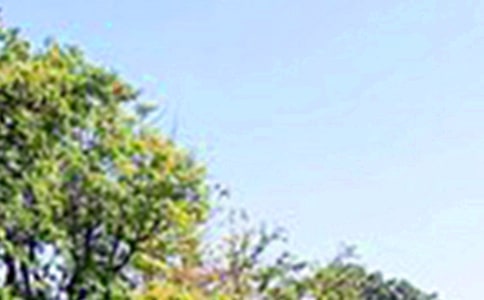 2023年美好的午安微信問候語47條