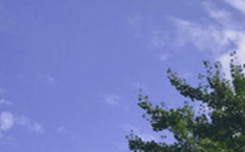 唯美的午安問候語大匯總54條