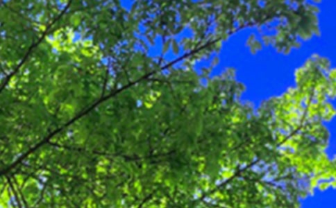 2024年優(yōu)美的午安QQ問候語26條