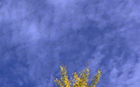 2024年午安問候語大合集53句