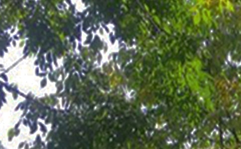 經(jīng)典正能量午安句子(精選30句)