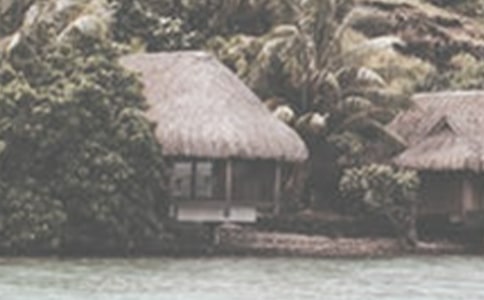 夏季冰飲:奶香苦瓜飲