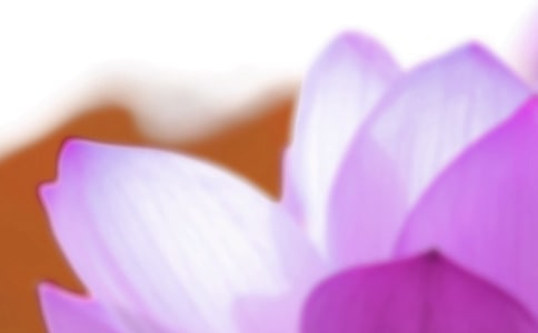 二十四節(jié)氣夏至諺語190句